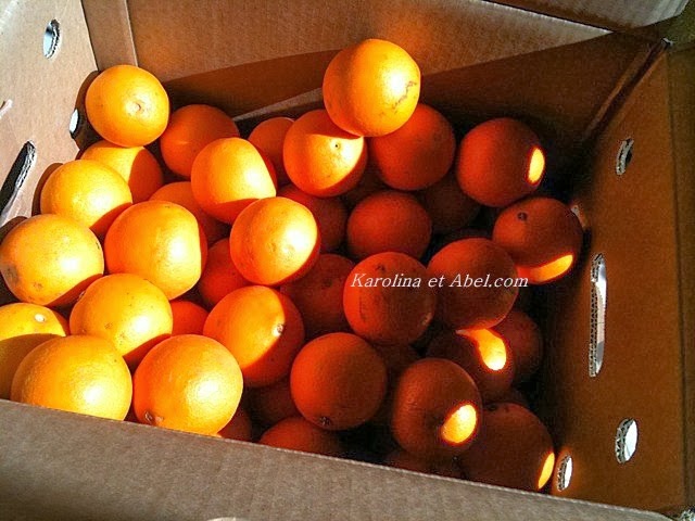 [Oranges%255B4%255D.jpg]
