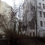 IMG_6007.jpg