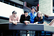 The Vaccines