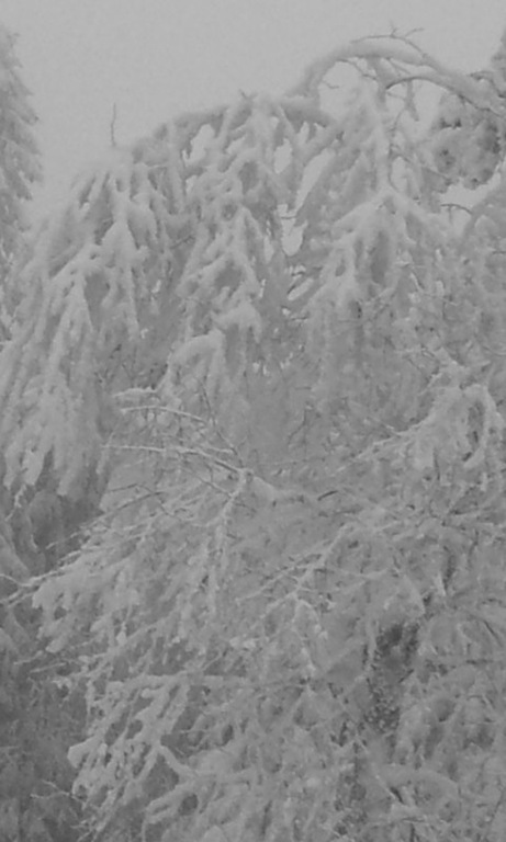 [20130129_162736%255B10%255D.jpg]