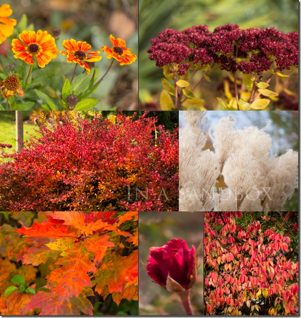 Late October Reds Mosaic