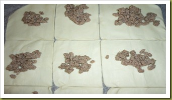 Bauletti di pastasfoglia ripieni di manzo ai semi di sesamo (4)