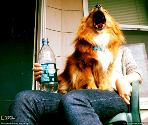 [ce52ee089c7eb3637919abe3eed_prev%255B10%255D.jpg]