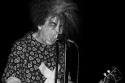 The Melvins