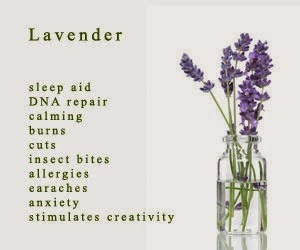 [lavender-front%255B3%255D.jpg]
