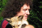 Brian May