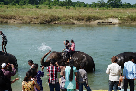 Obiective turistice Nepal:. Elefanti la Chitwan