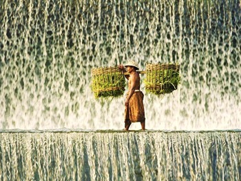 [dia%2520mundial%2520del%2520agua%2520%25289%2529%255B2%255D.jpg]