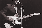 Muddy Waters