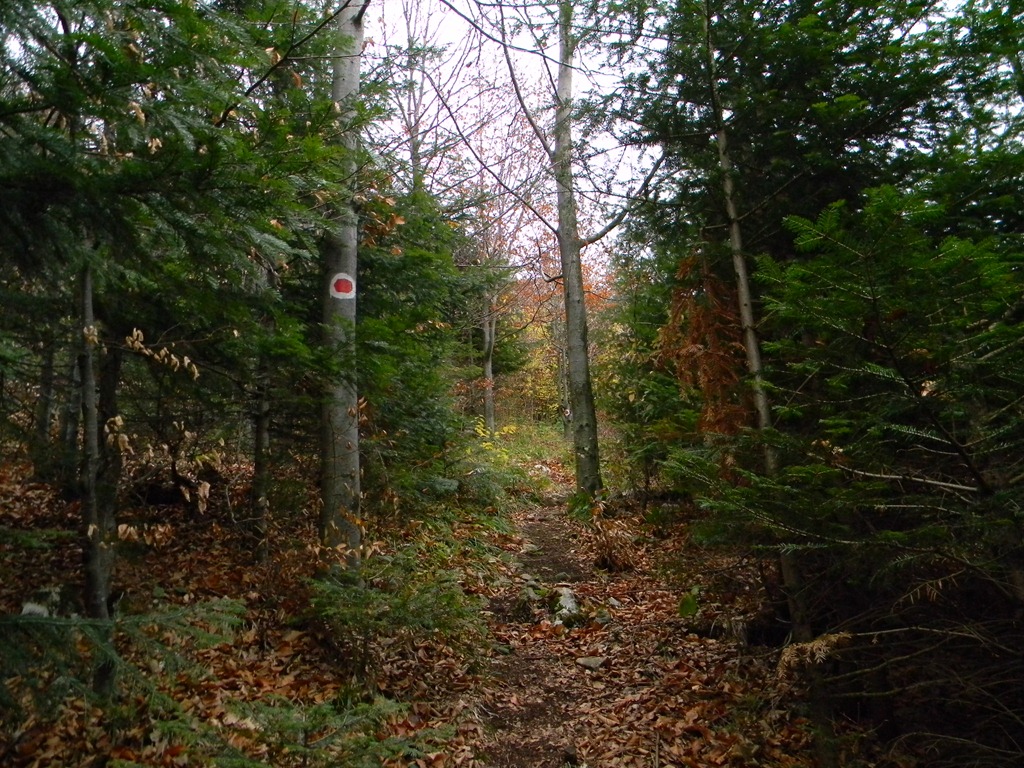 [DSCN19083.jpg]