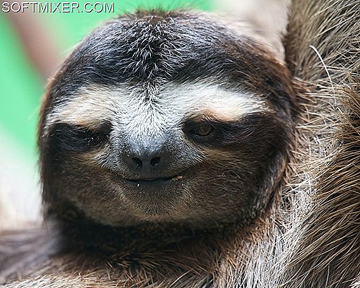 [clip_image026%255B9%255D.jpg]