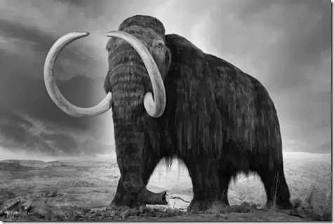 clonar mamuts