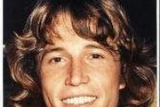 Andy Gibb