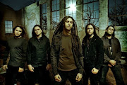 Shadows Fall