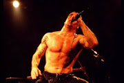 Rollins Band