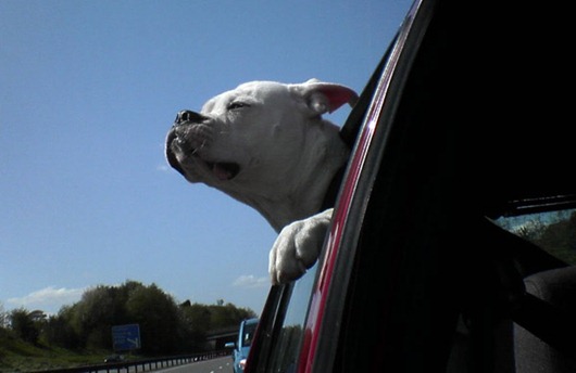 [clip_image011%255B3%255D.jpg]