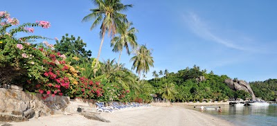 DSC_0131.jpg