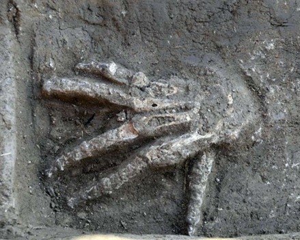 [clip_image001%25255B5%25255D%255B4%255D.jpg]