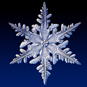 Real Snow Live Wallpaper logo