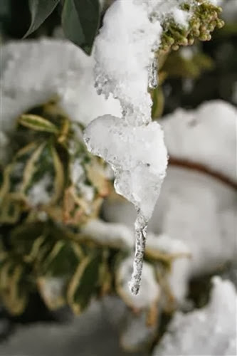 20091222 (1) (Small)