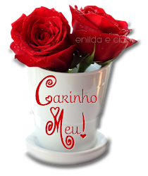 533CARINHO.png