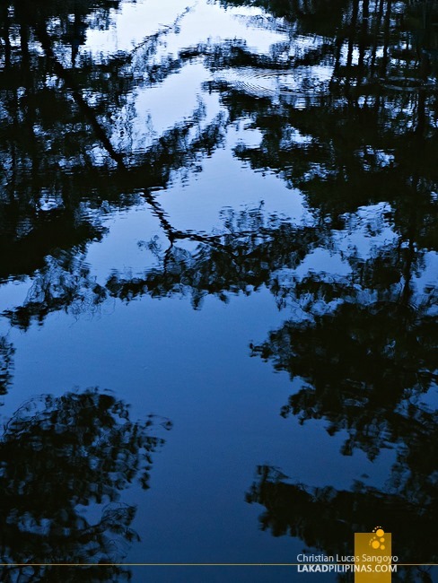 Reflections at Baguio City's Wright Park