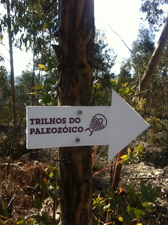 [IMG_2918%255B3%255D.jpg]