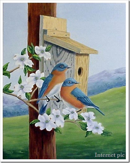 Eastern Bluebirds by Fran Brooks