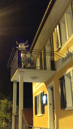 Cow on a Balcony