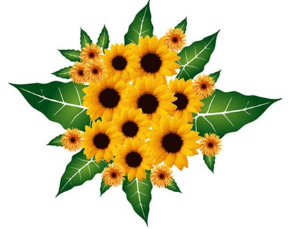 Sunflower-Vector