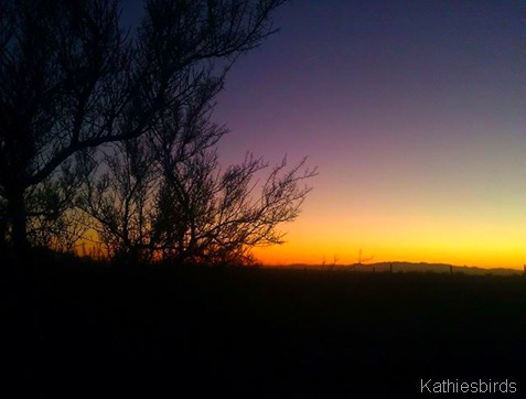 7. Sunset in Saguaro NP 1-14-14-kab