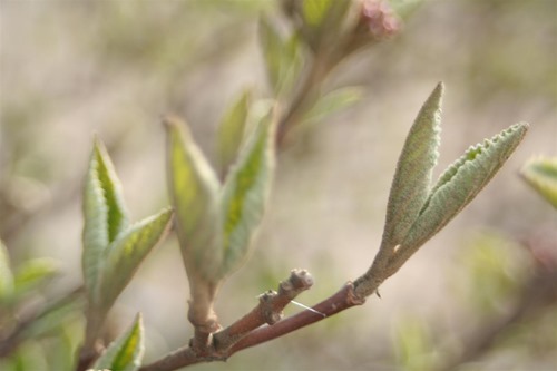 20110315 (3) (Large)