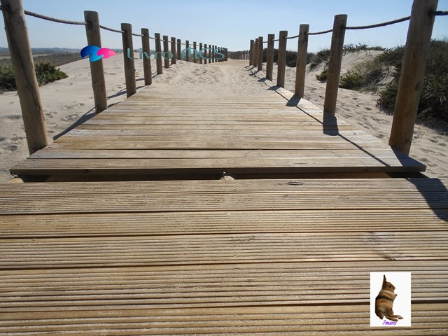 [O%2520desenvolvimento%2520das%2520Ruas%2520de%2520Espinho013Gazeta%2520de%2520Espinho%255B2%255D.jpg]