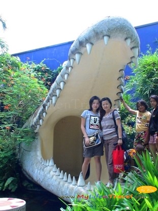 Thailand Phuket Zoo 16
