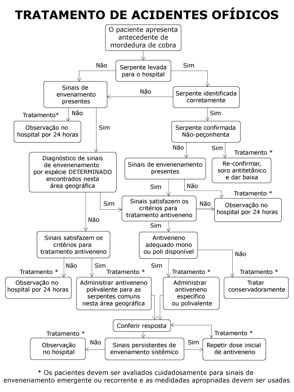 organograma_antiveneno