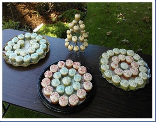 Picnic Cupcakes 2