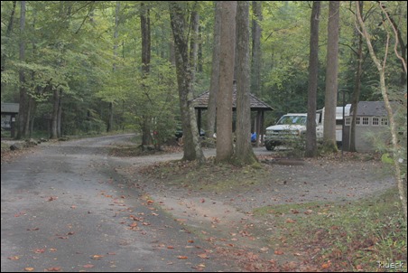 wooded campsites