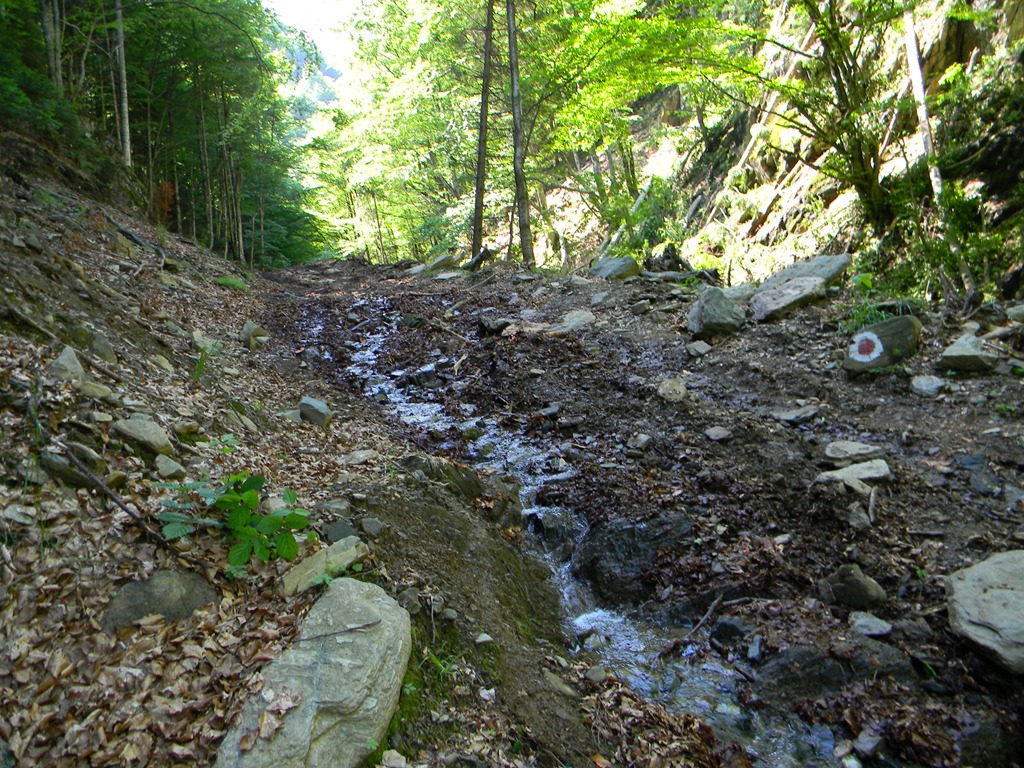 [DSCN12443.jpg]