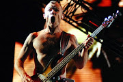 Flea