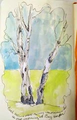 sketch of birch 6 12 small file