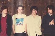 Palma Violets