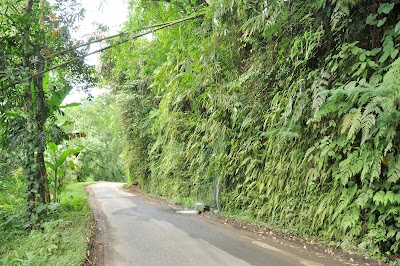 DSC_0003.jpg