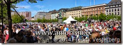 DSC01649.JPG Jesusmanifestationen 2014 Kungsträdgården med amorism