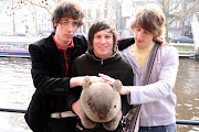 Wombats