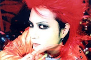 Hide