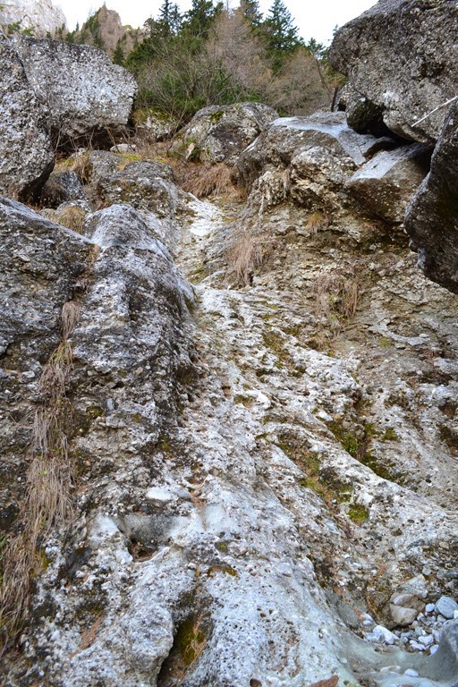 [DSC_01214.jpg]