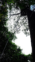 DSCF2157.JPG