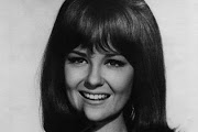 shelley fabres