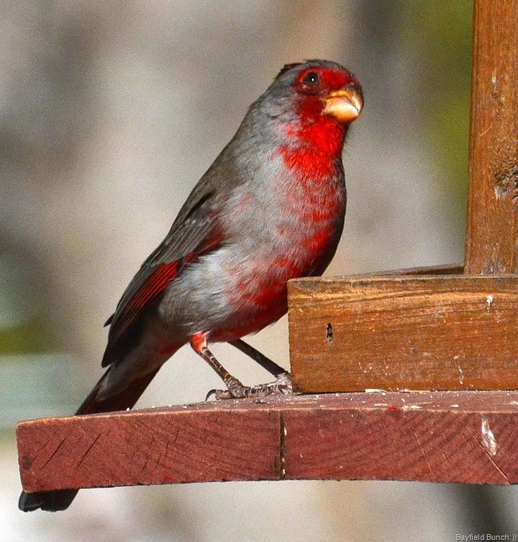 [DSC_0005-001%255B4%255D.jpg]