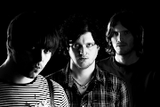 The Virginmarys